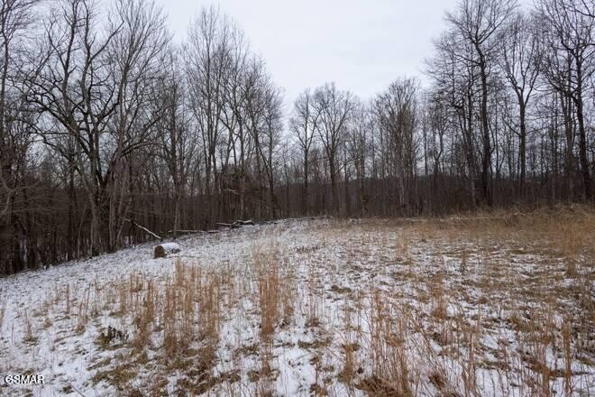 0 Little Sycamore Road Tazewell, TN 37879 - Photo 19 of 22 Gallery Image 19
