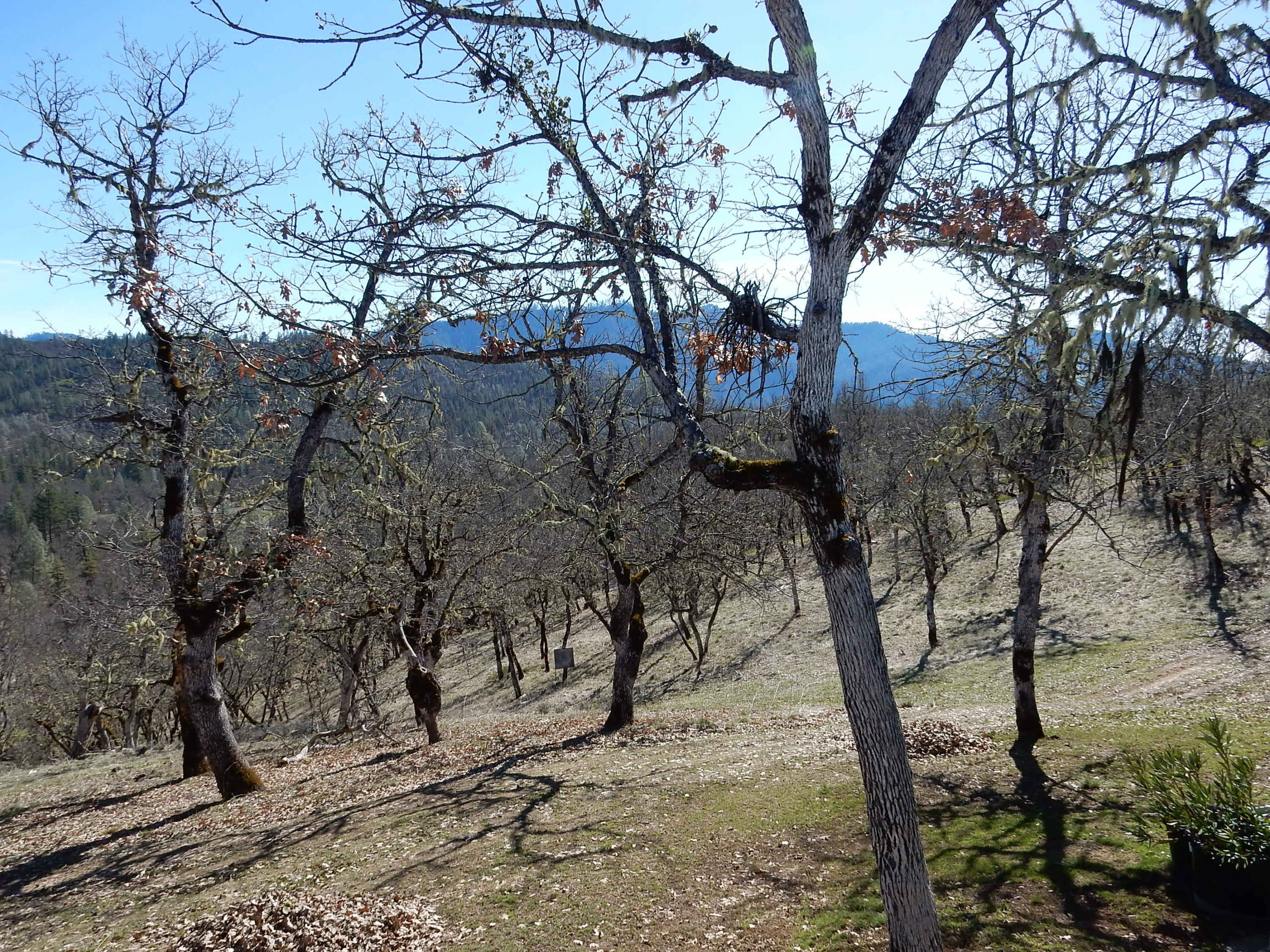 1010 Farmer Ranch Road Hayfork, CA 96041 - Photo 25 of 36 Gallery Image 25