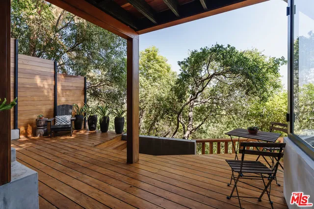 a view of a potted plant in a kitchen