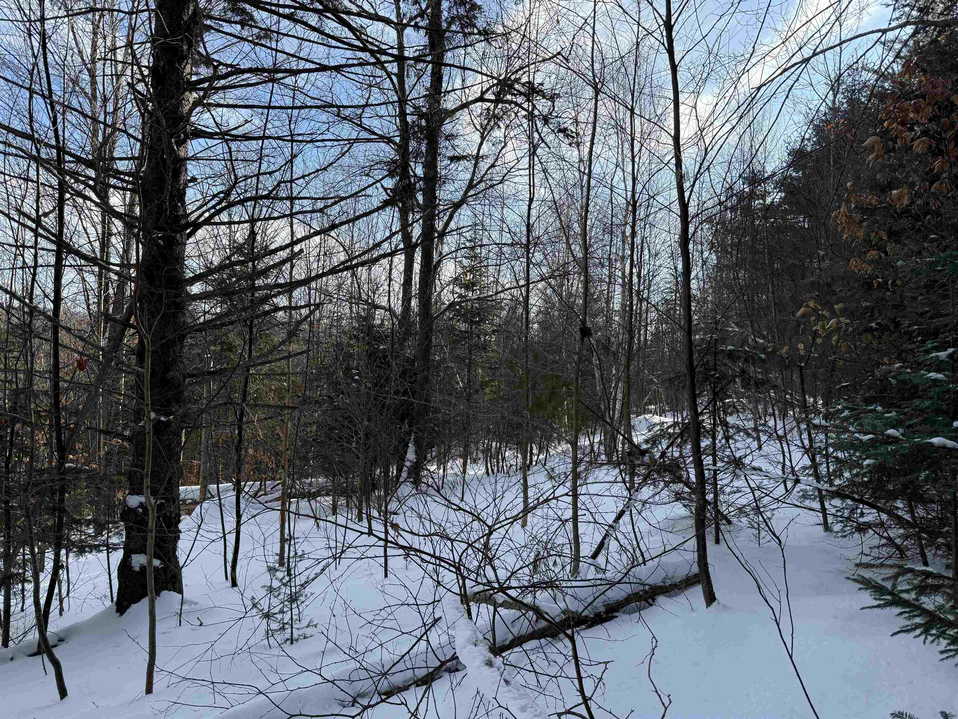 19 Stone Ridge Loop West Dover, VT 05356 - Photo 23 of 27