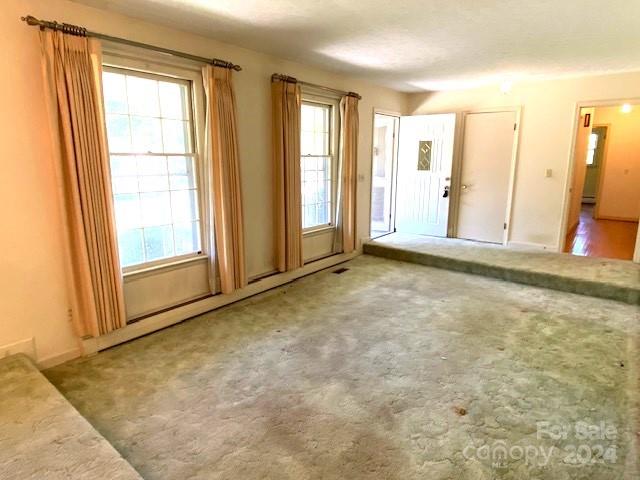 399 Balsam Road Hendersonville, NC 28792 - Photo 9 of 16 Gallery Image 9