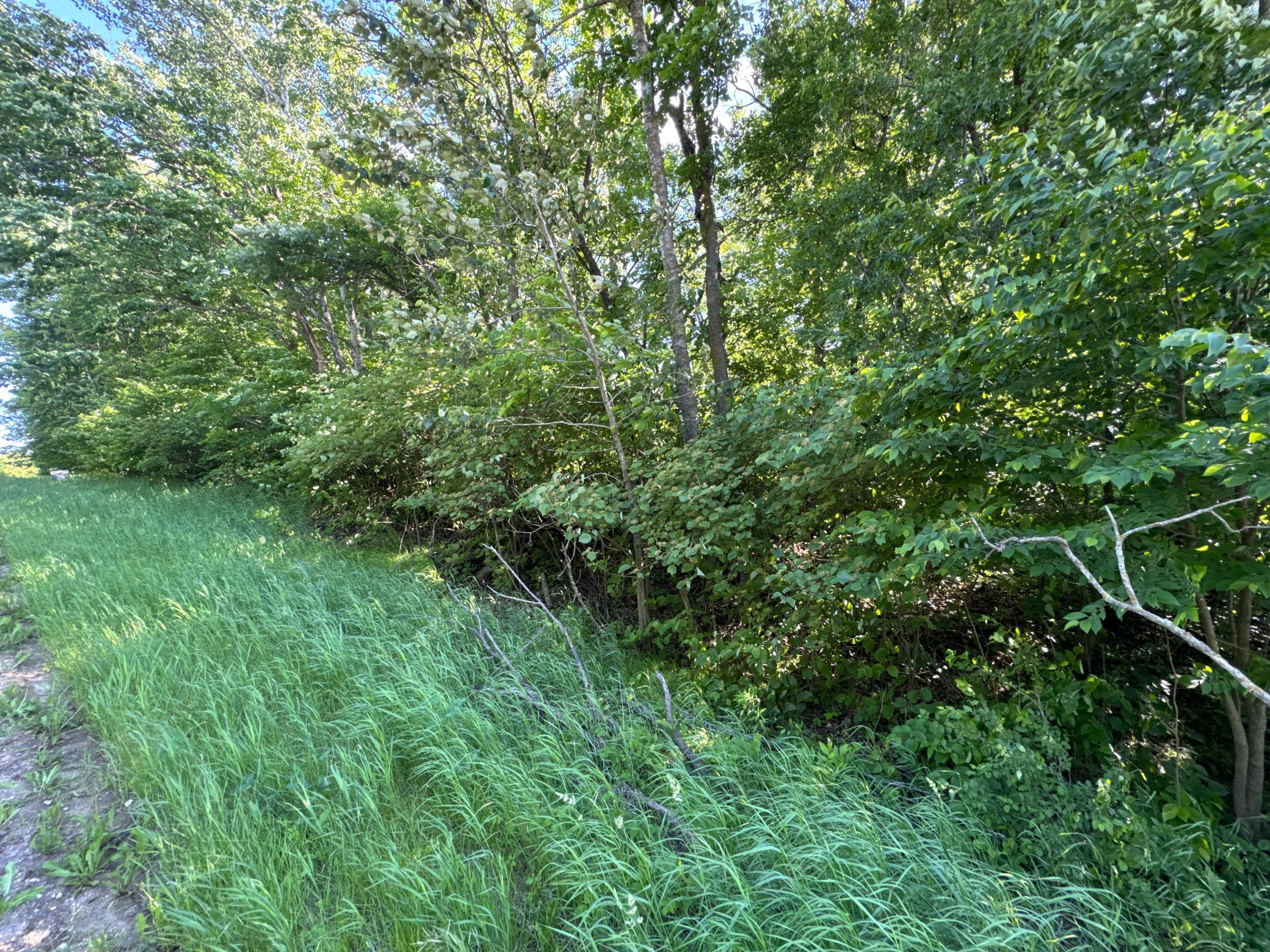 Xxxxx German Lake Road Underwood, MN 56586 - Photo 8 of 16