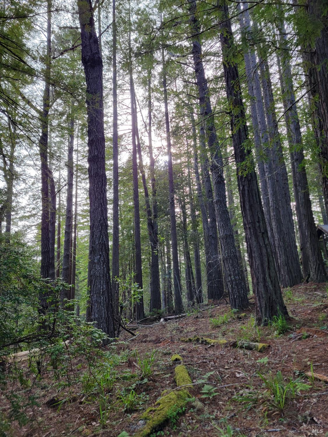 35136 Timber Ridge Road The Sea Ranch, CA 95497 - Photo 14 of 38 Gallery Image 14
