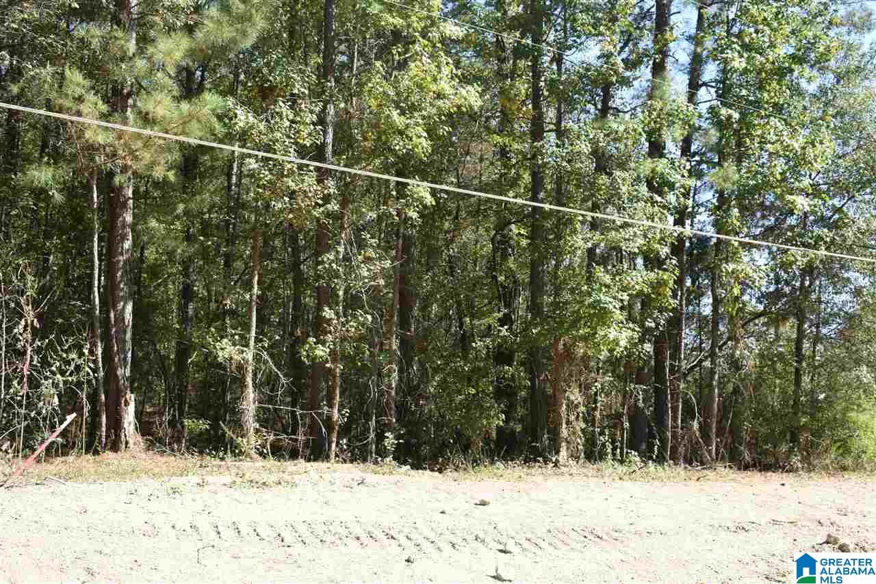 13933 B T Short Cutoff Road Vance, AL 35490 - Photo 27 of 30