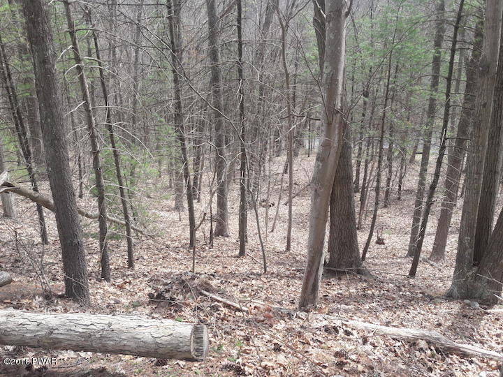 Christian Hill Road Milford, PA 18337 - Photo 5 of 22