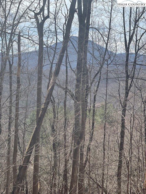 Tbd Lot 17 Carefree Cv Rd