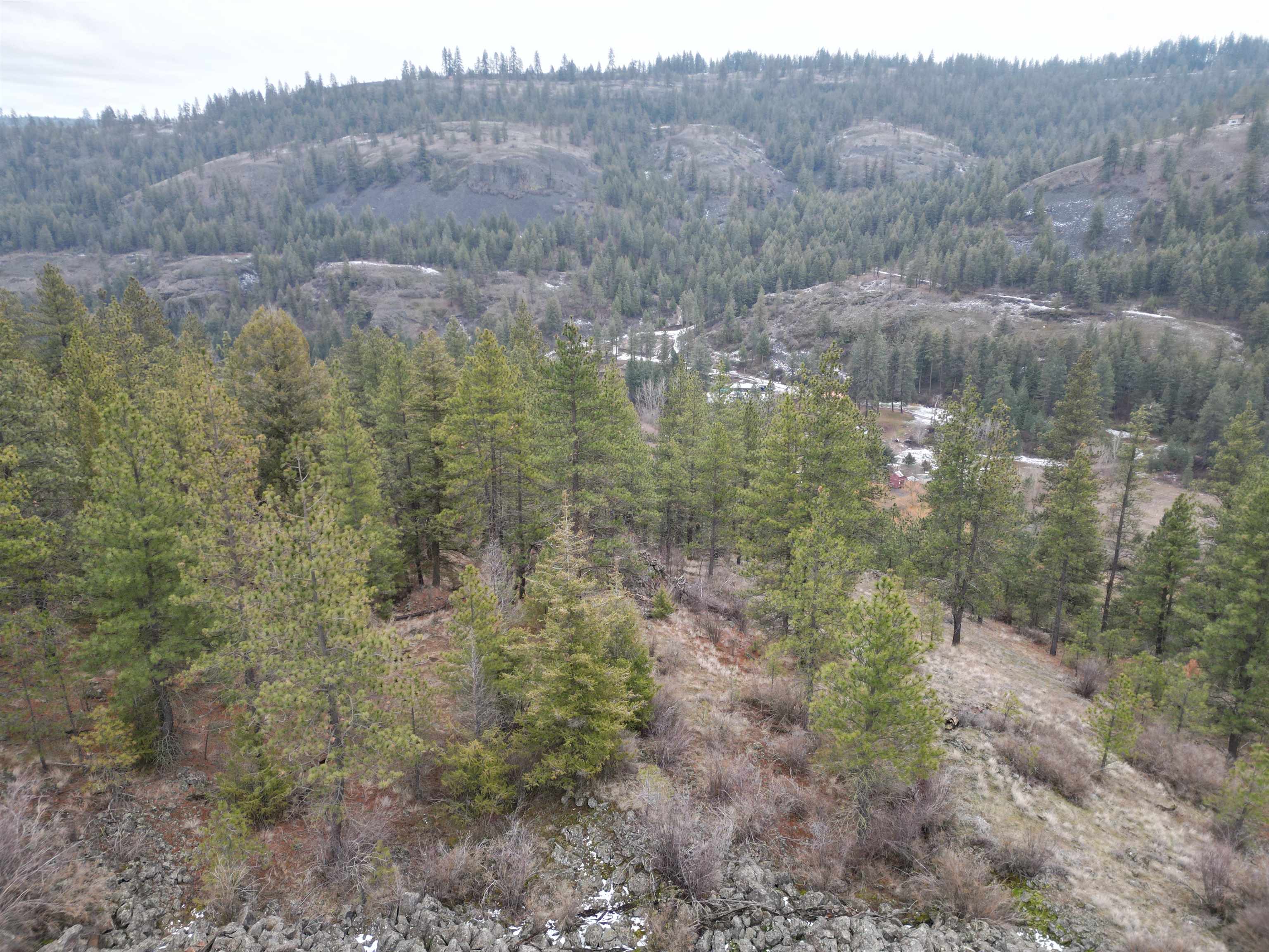 33055 Hawk Creek Ranch Road North Davenport, WA 99122 - Photo 1 of 15