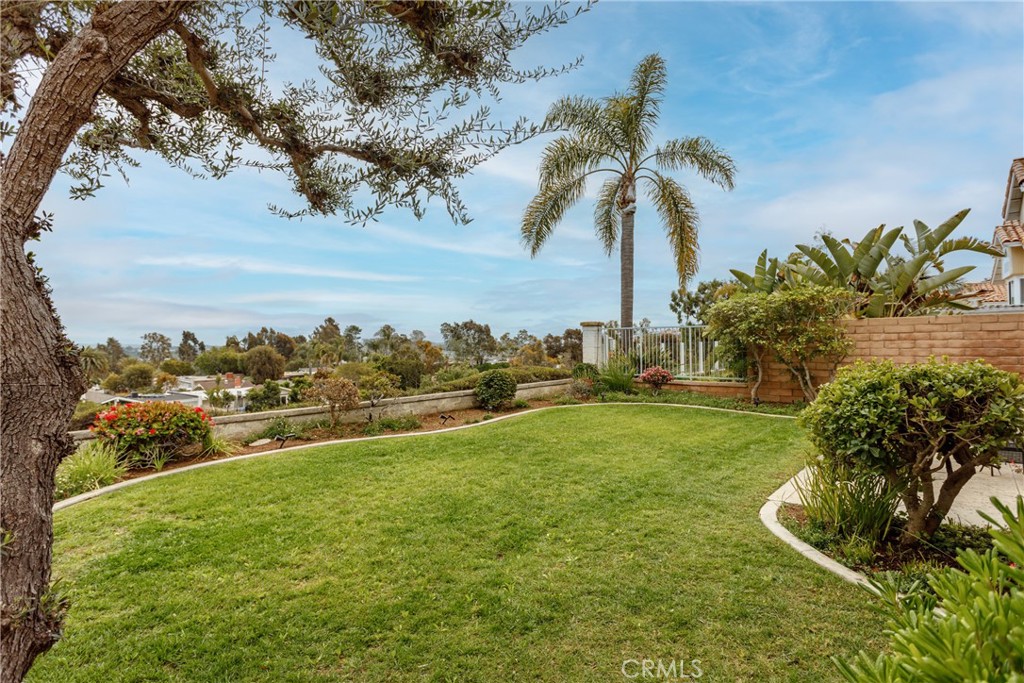 29672 Teracina Laguna Niguel, CA 92677 - Photo 29 of 35 a view of a yard with a tree