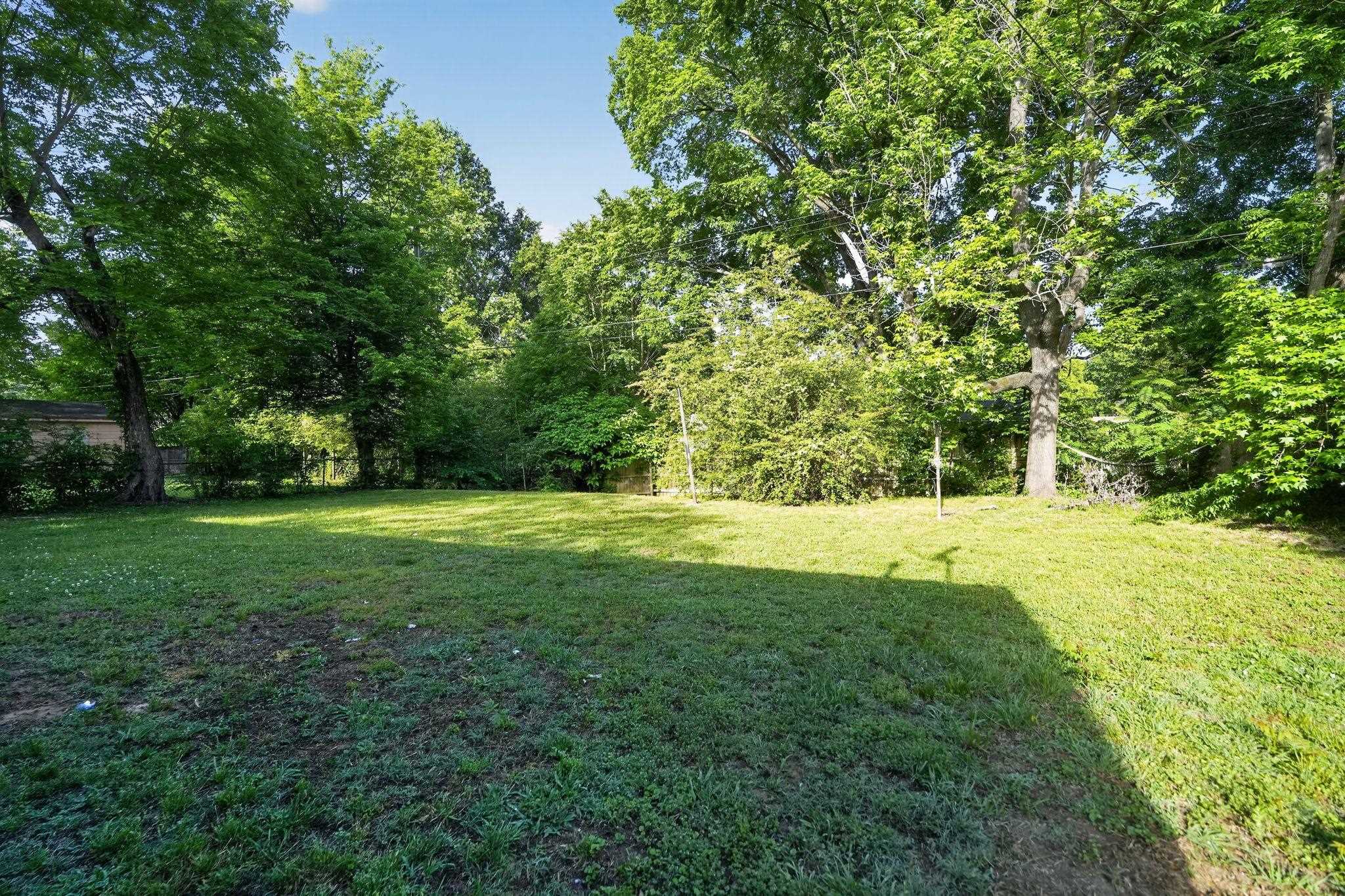 4955 Stacey Road Memphis, TN 38109 - Photo 8 of 35 Expansive grassy lawn surrounded by mature trees and lush foliage, creating a private outdoor setting
