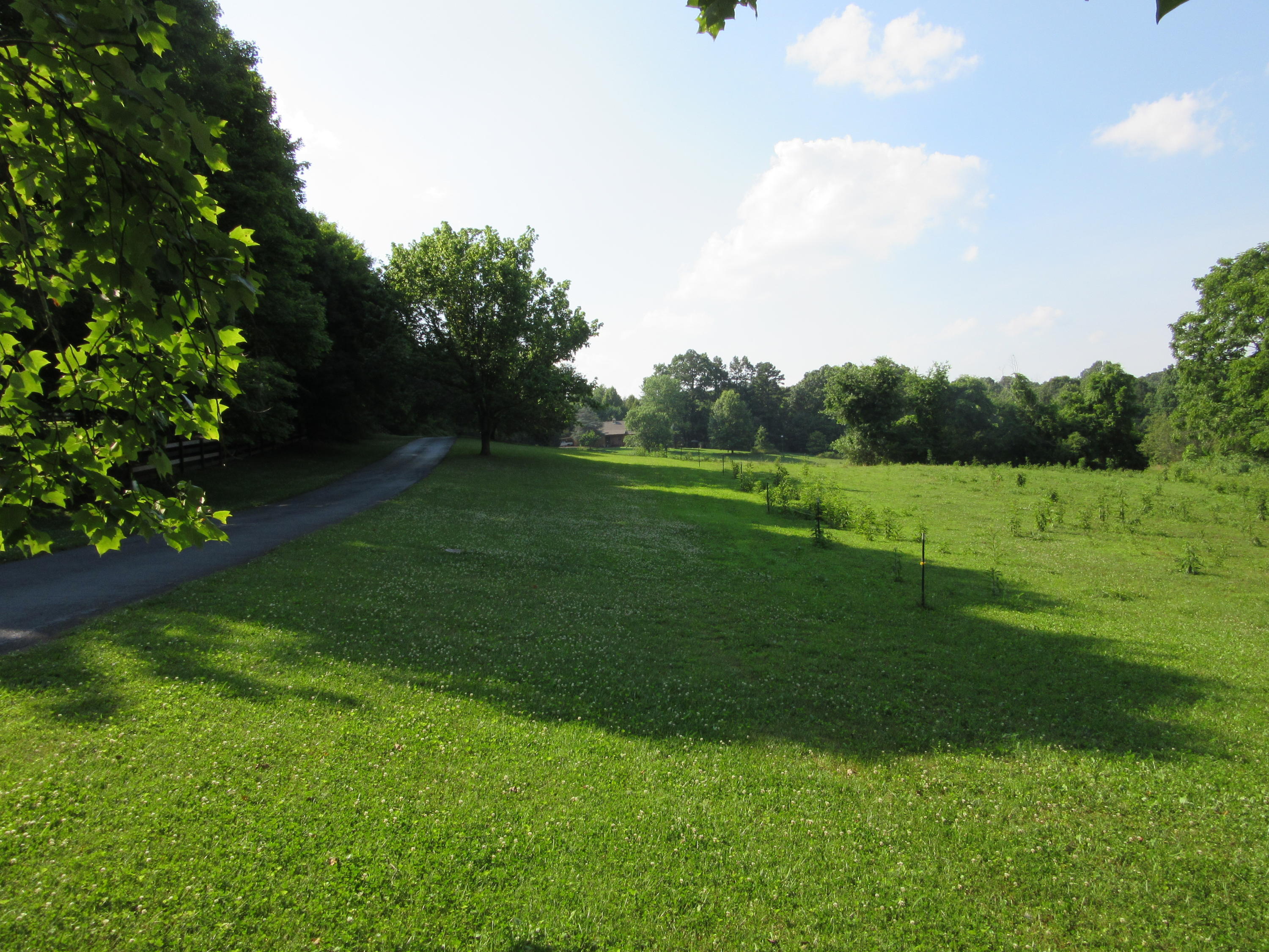 5341 Fort Sumter Road Knoxville, TN 37938 - Photo 11 of 28 Long paved driveway...