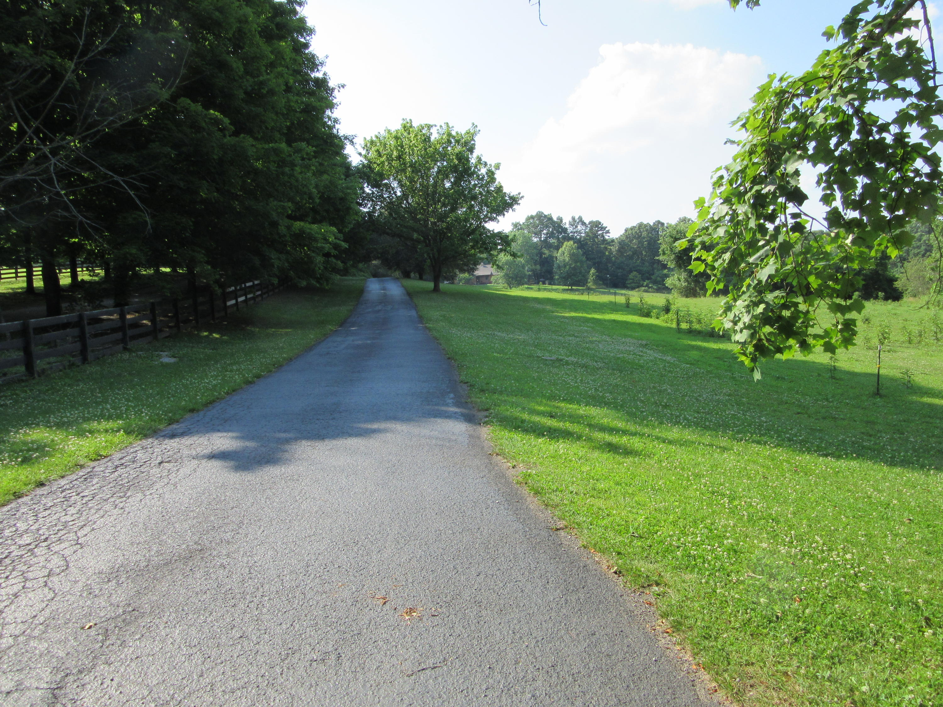 5341 Fort Sumter Road Knoxville, TN 37938 - Photo 12 of 28 Long paved driveway...