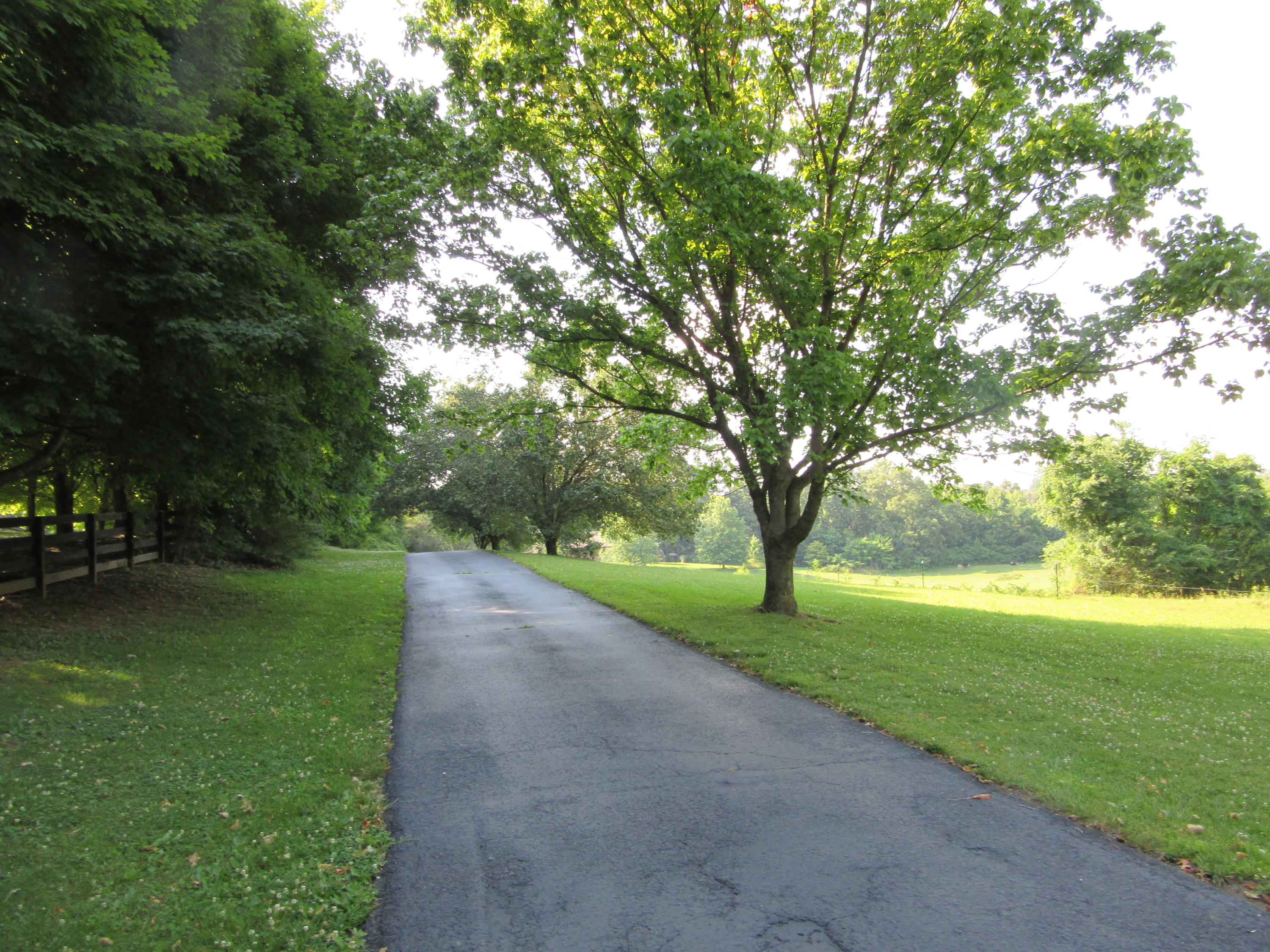 5341 Fort Sumter Road Knoxville, TN 37938 - Photo 13 of 28 Long paved driveway...
