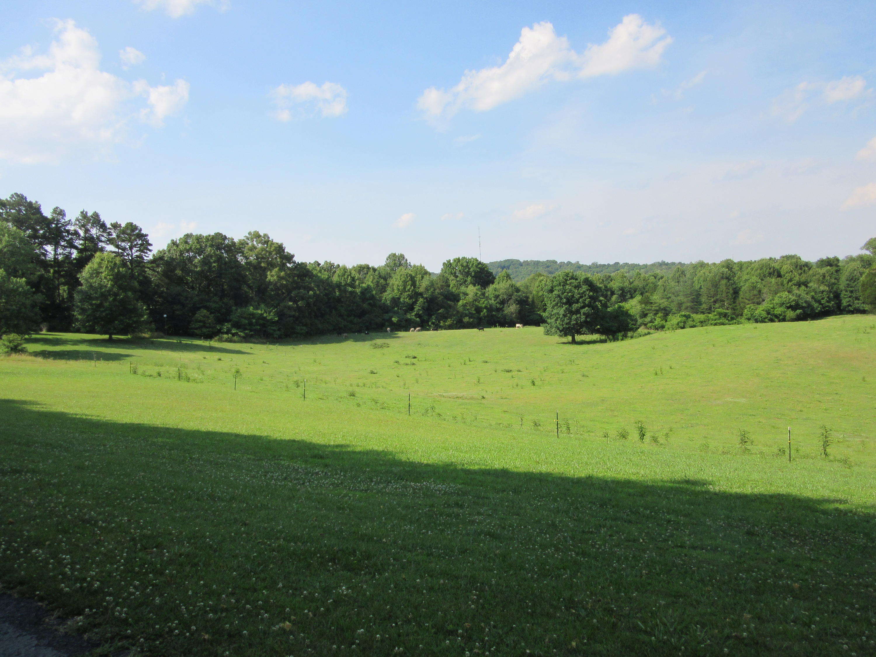 5341 Fort Sumter Road Knoxville, TN 37938 - Photo 14 of 28 Beautiful fields...