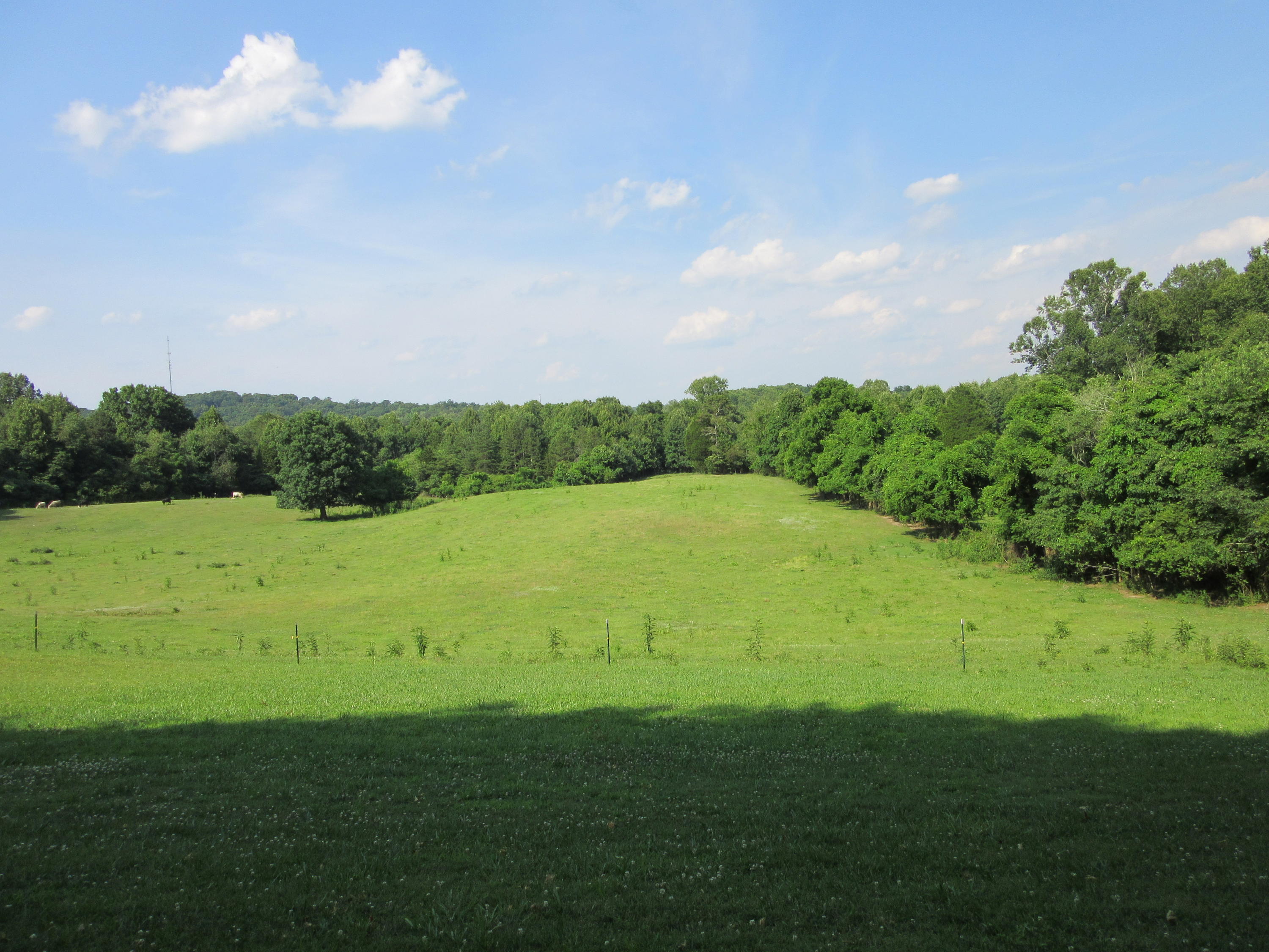 5341 Fort Sumter Road Knoxville, TN 37938 - Photo 15 of 28 Beautiful fields...