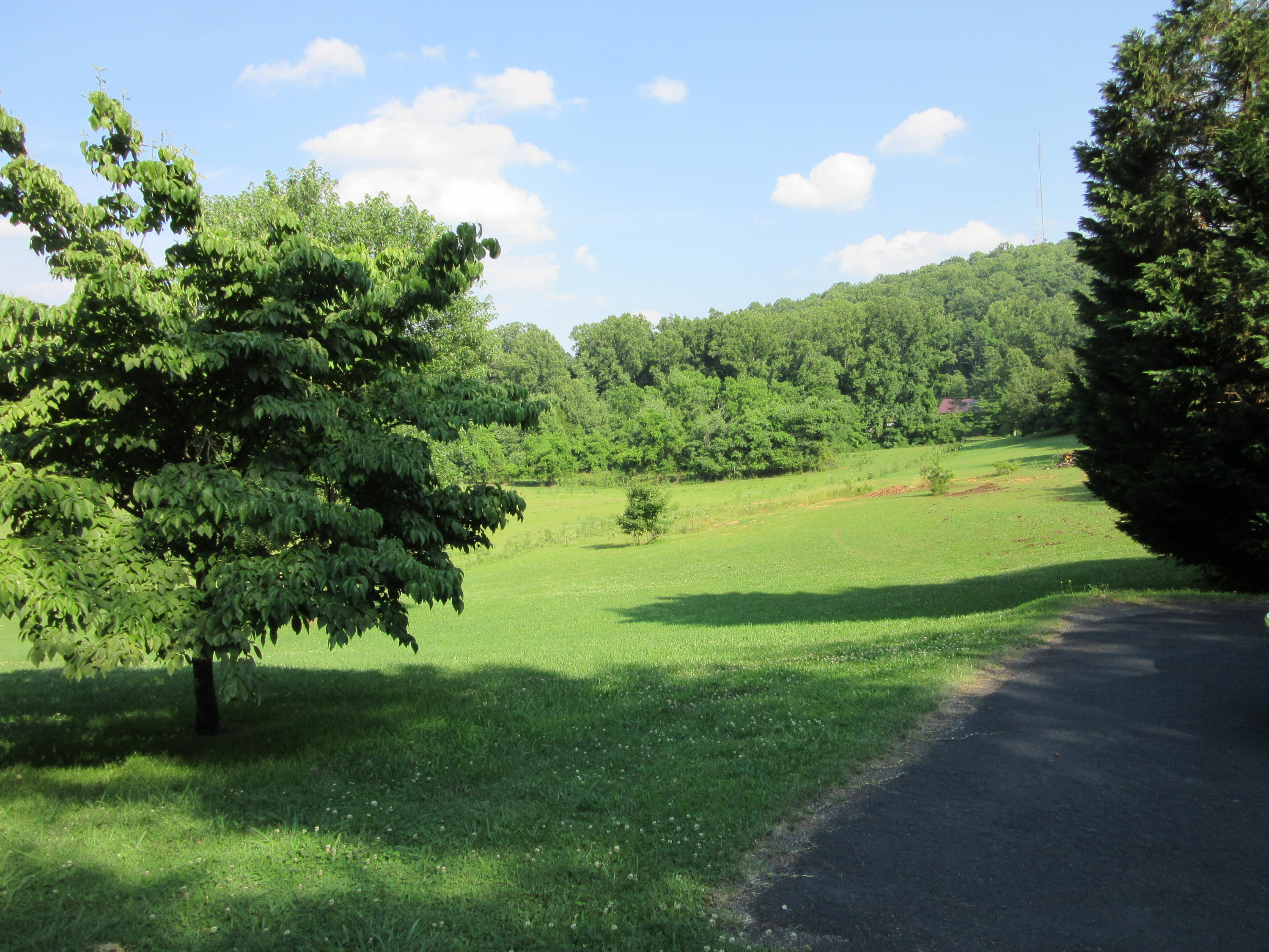 5341 Fort Sumter Road Knoxville, TN 37938 - Photo 17 of 28 Beautiful fields...