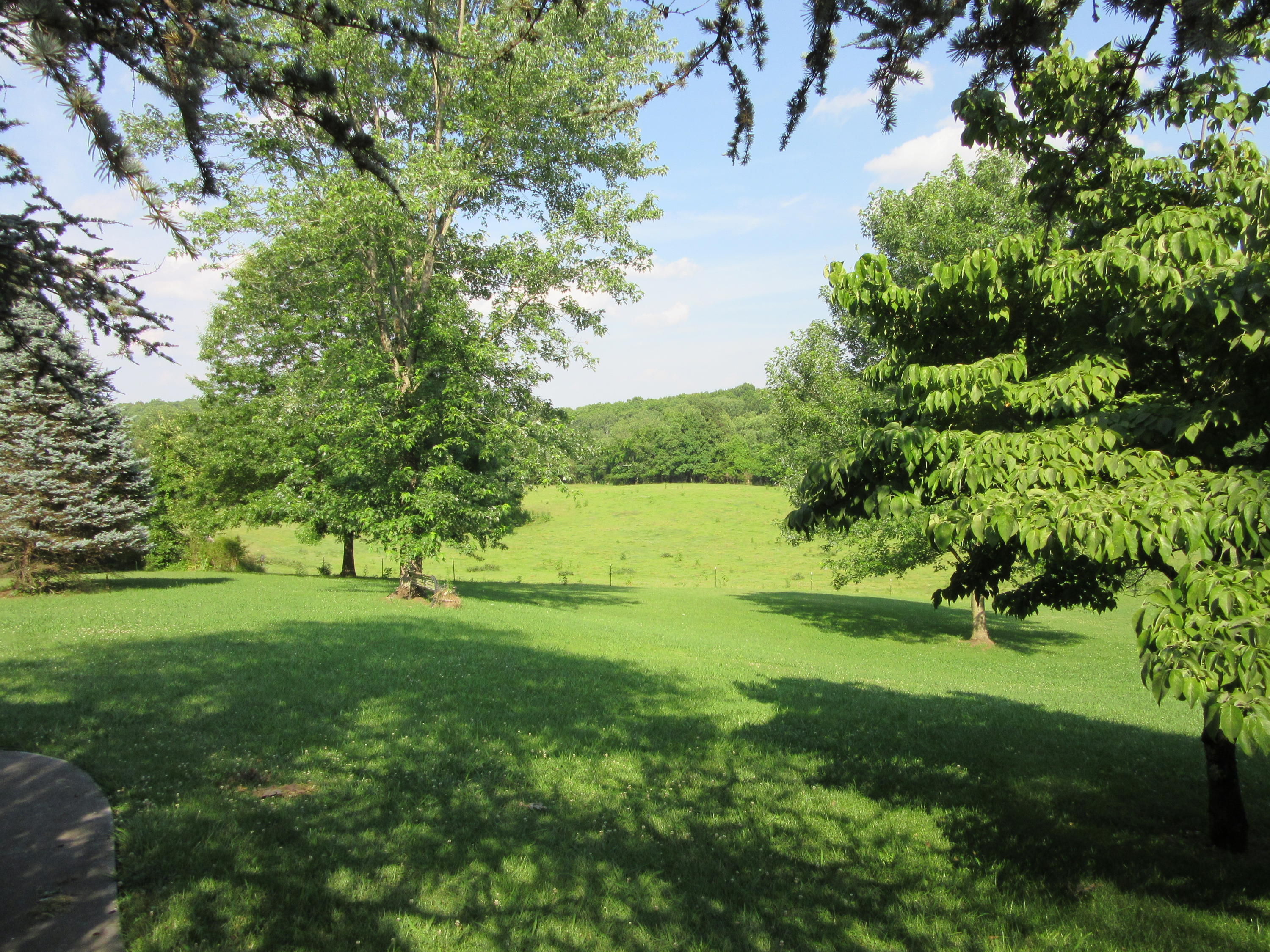 5341 Fort Sumter Road Knoxville, TN 37938 - Photo 18 of 28 Beautiful fields...
