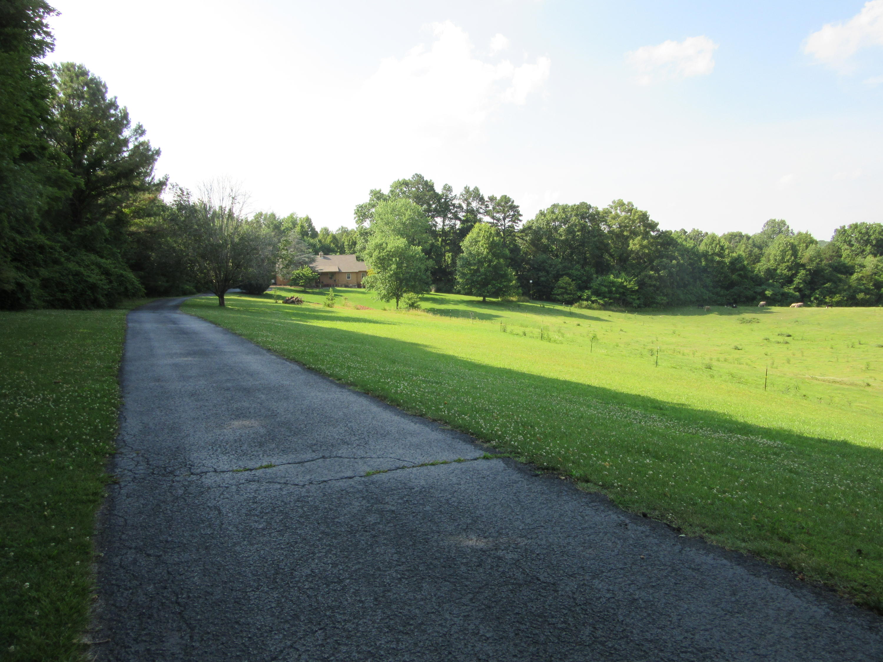 5341 Fort Sumter Road Knoxville, TN 37938 - Photo 3 of 28 Paved Driveway...