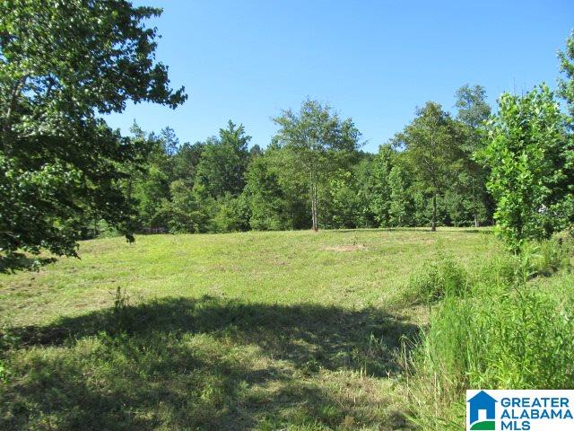 0 Choctaw Trail, Unit 10 Hayden, AL 35079 - Photo 19 of 24