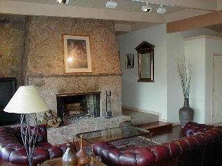472 Bret Harte Road San Rafael, CA 94901 - Photo 8 of 8 a living room with furniture and a fireplace