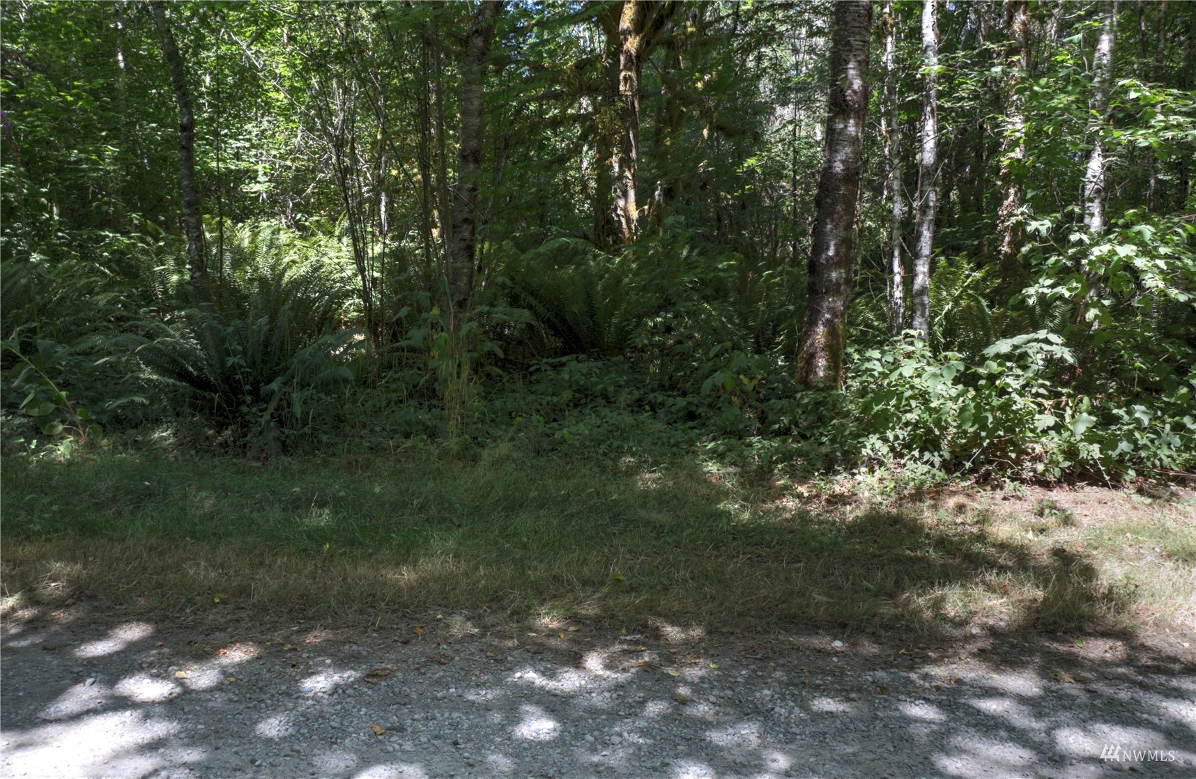 71 West Decker Heights Road Elma, WA 98541 - Photo 13 of 17 Gallery Image 13