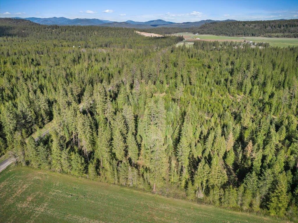Xxxx Springdale Hunters Road Springdale, WA 99173 - Photo 2 of 11 Gallery Image 2