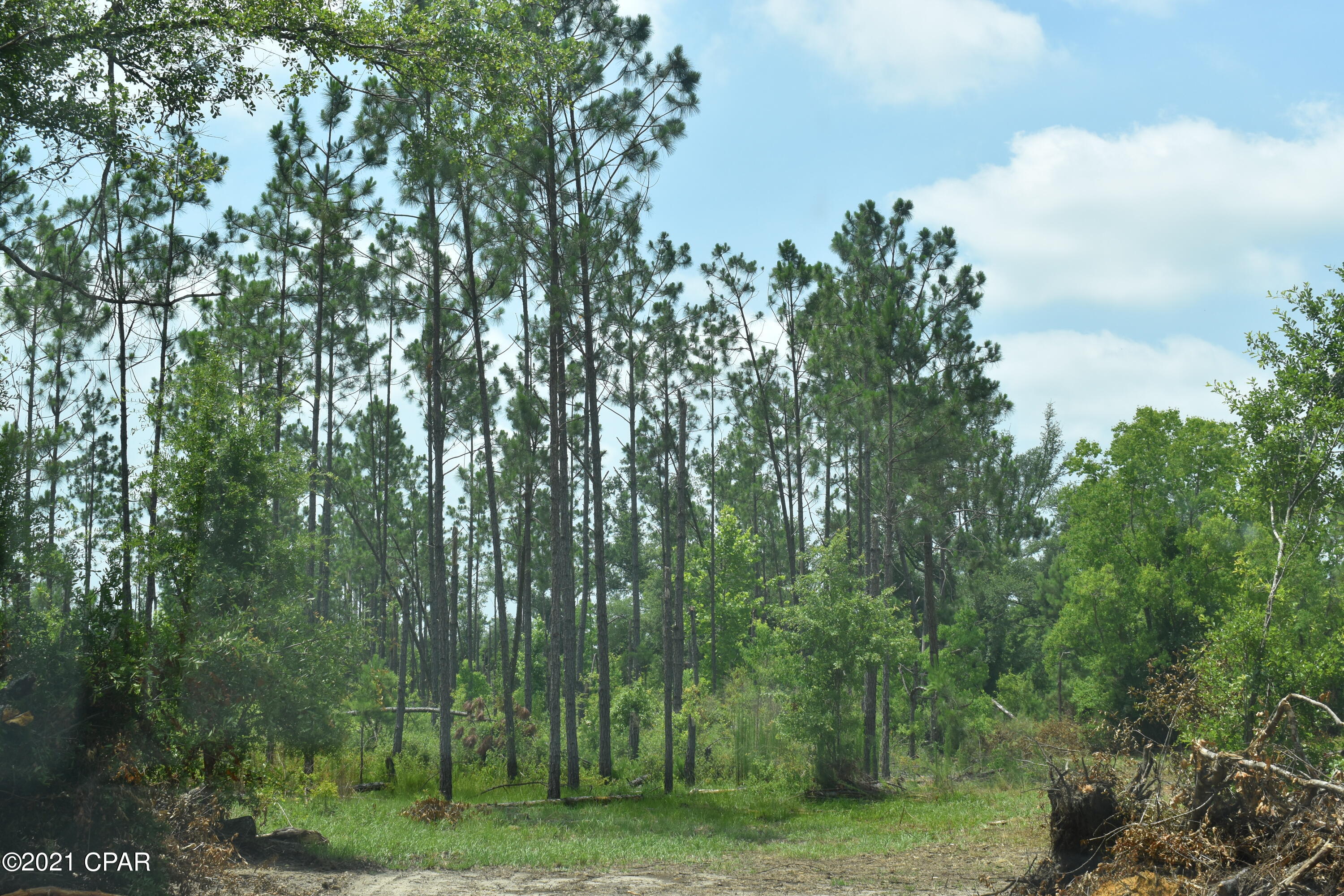 6809 Old Spanish Trail Grand Ridge, FL 32442 - Photo 8 of 24 Gallery Image 8