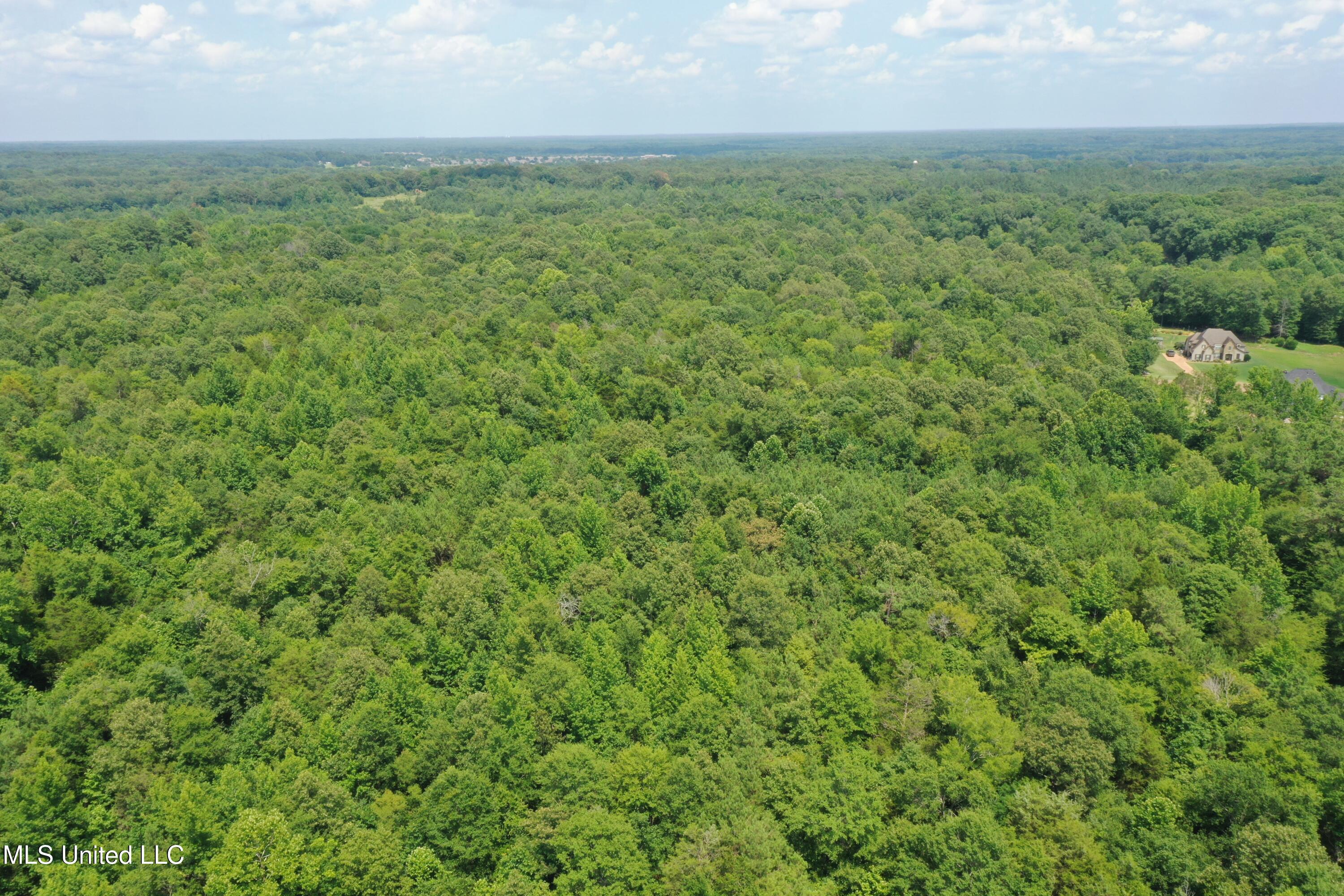 3466 Bethel Road Olive Branch, MS 38654 - Photo 6 of 86 DJI_0191