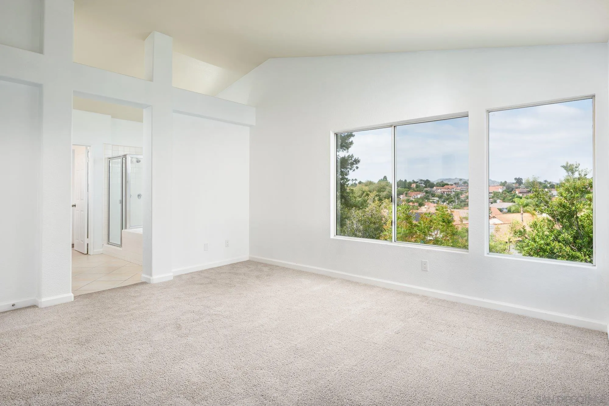 665 Montage Road Oceanside, CA 92057 - Photo 28 of 52 an empty room with windows and closet