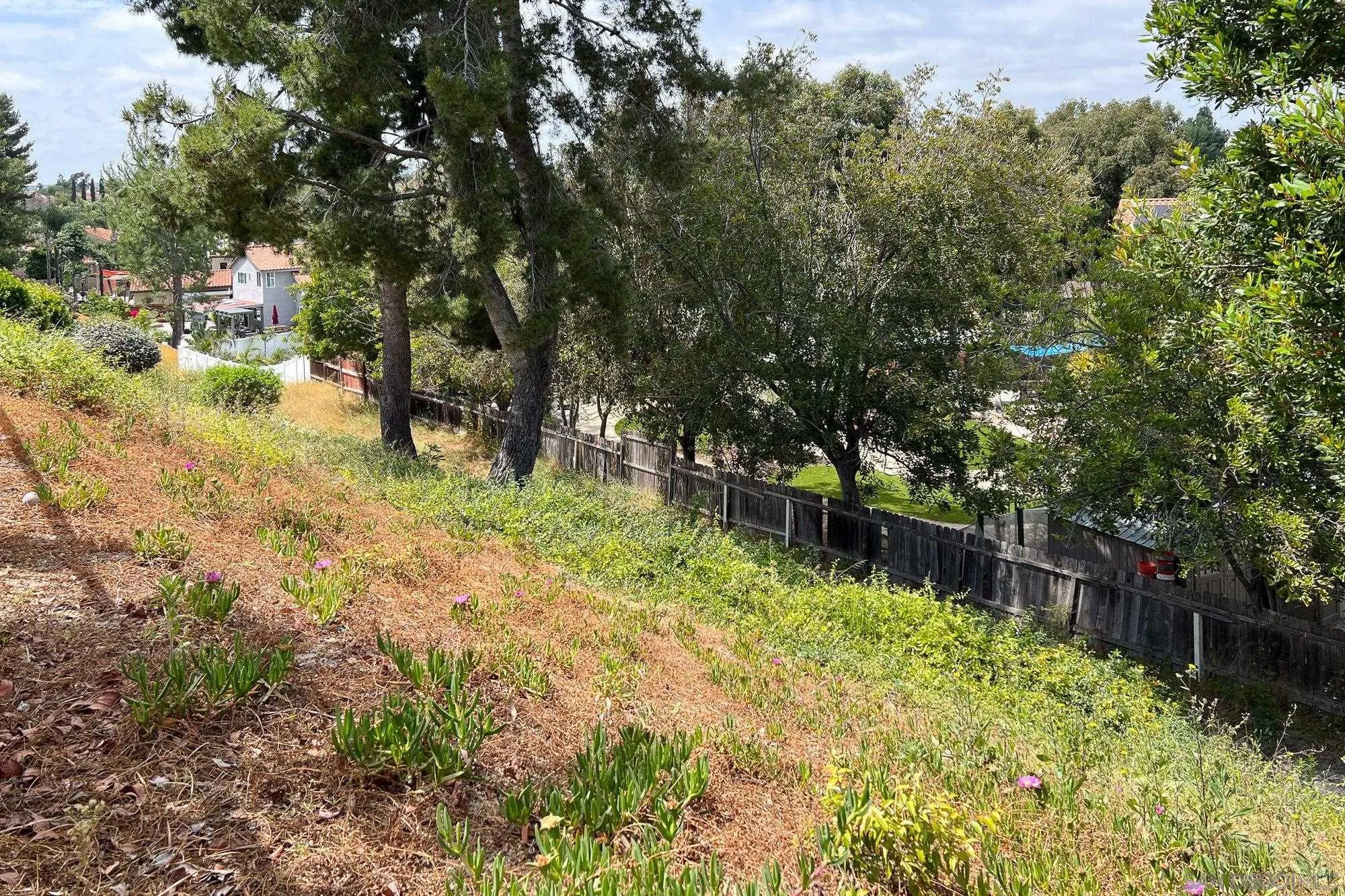 665 Montage Road Oceanside, CA 92057 - Photo 43 of 52 a backyard of a house with lots of green space and lake view