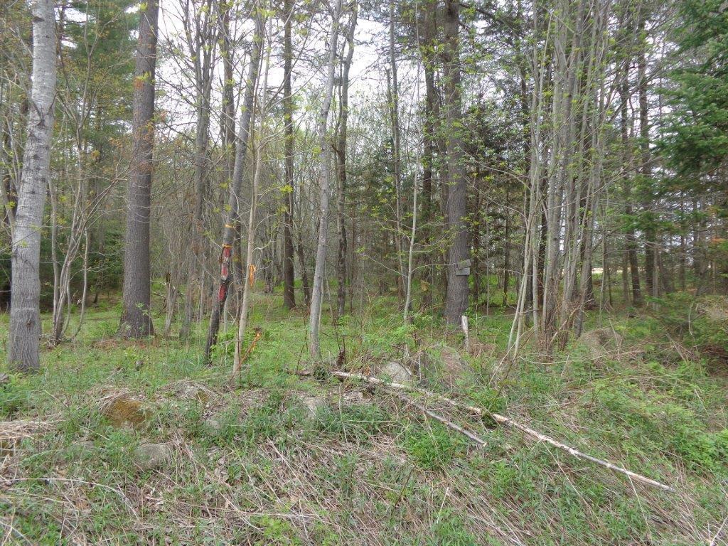 Lot A Plains Road Readfield, ME 04355 - Photo 4 of 6 Photo