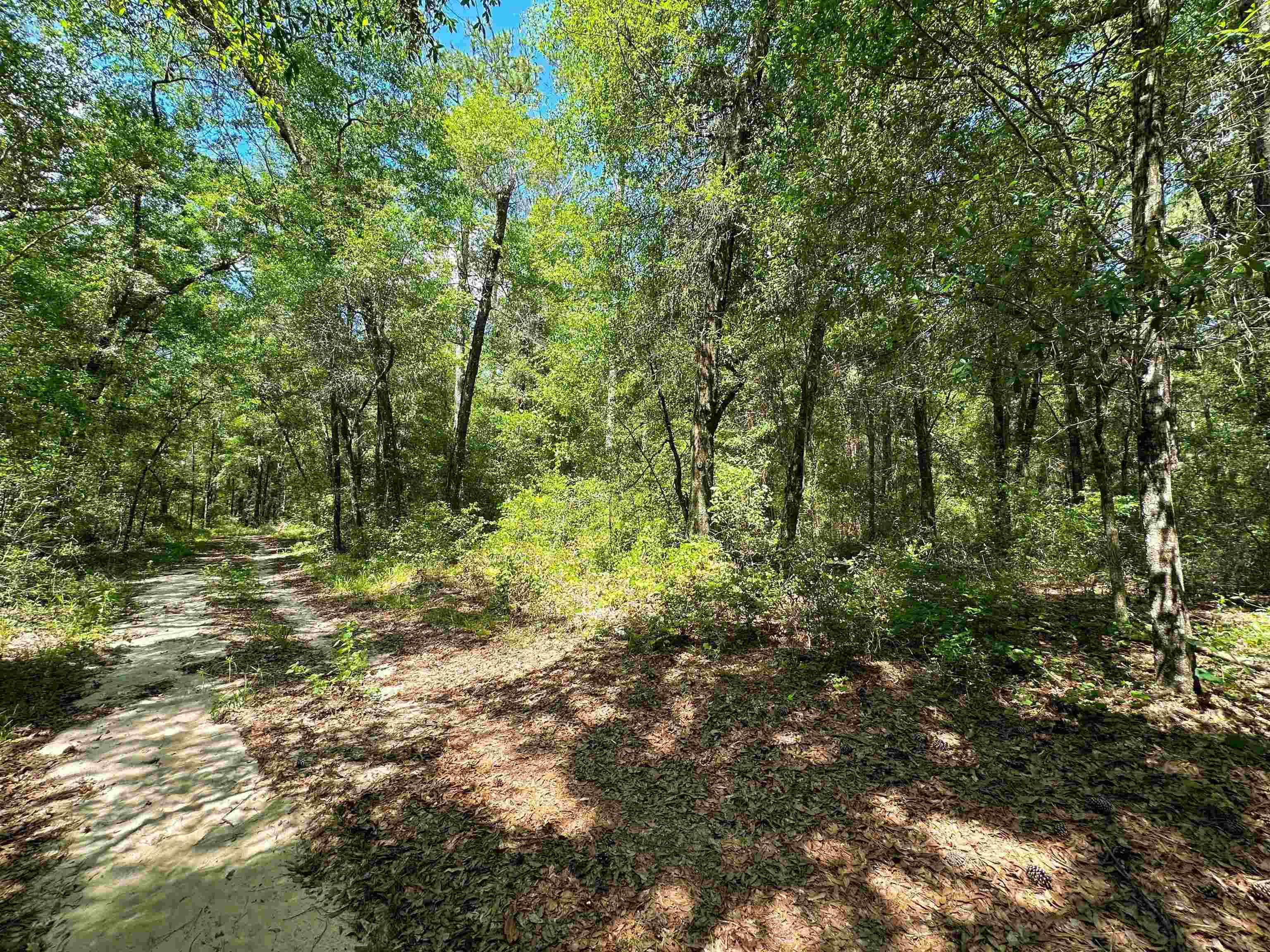 High Bridge Road Quincy, FL 32351 - Photo 20 of 20