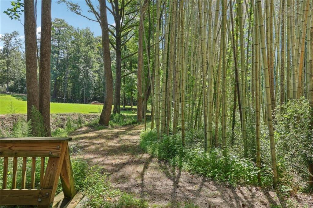250 Stagecoach Road Oxford, GA 30054 - Photo 45 of 76 a view of a yard with plants and large trees