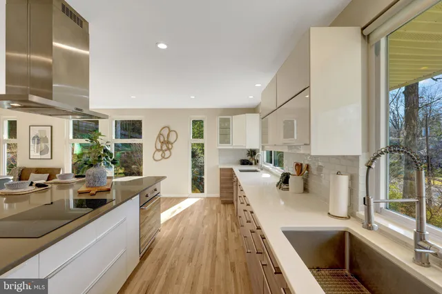 a view of a park with potted plants and large trees