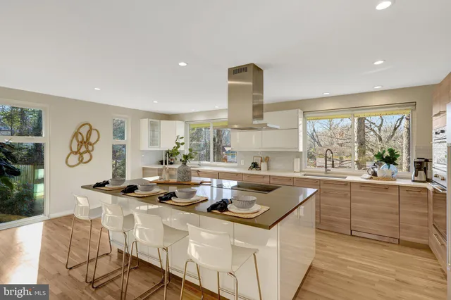 a view of a yard with potted plants and large trees