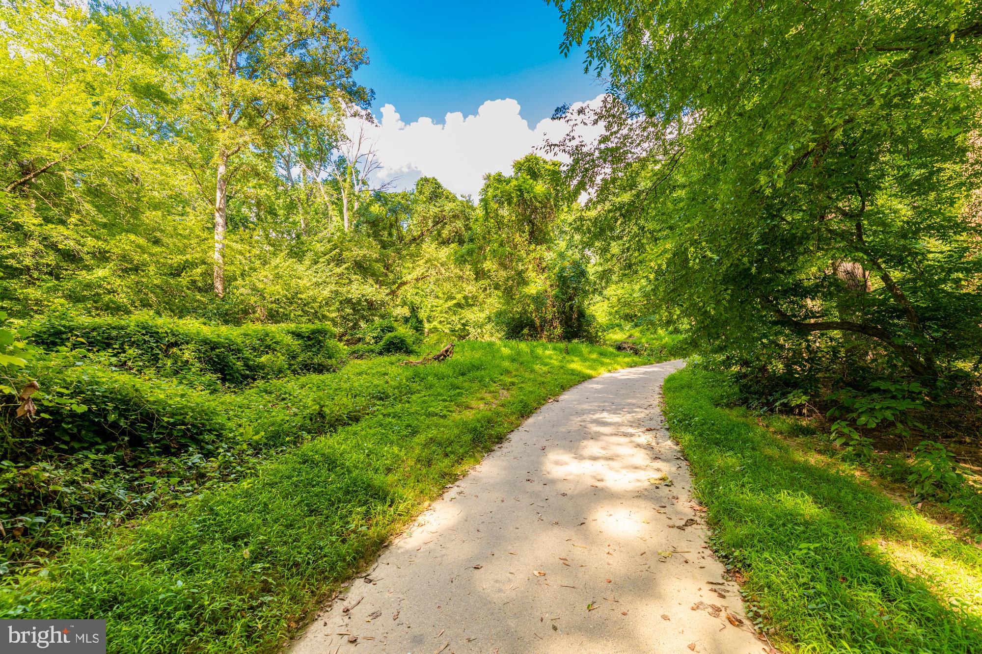 3305 Edenvale Road Fairfax, VA 22031 - Photo 24 of 35