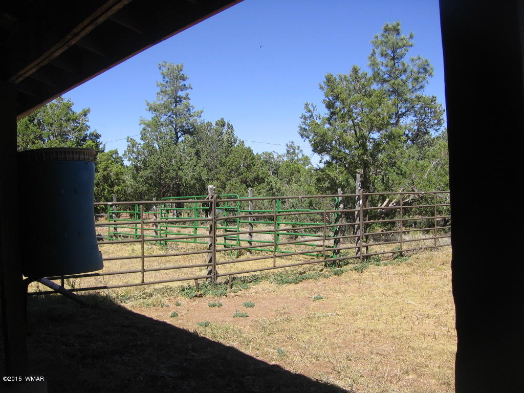 4047 Jasmine Lane Overgaard, AZ 85933 - Photo 11 of 42