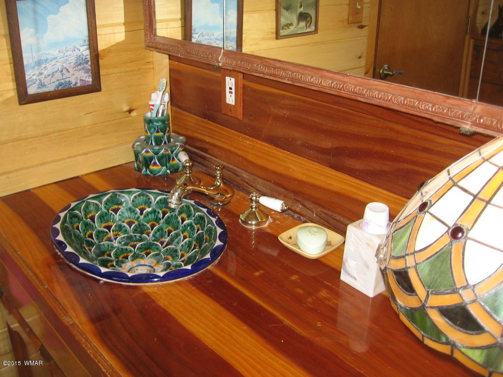 4047 Jasmine Lane Overgaard, AZ 85933 - Photo 28 of 42