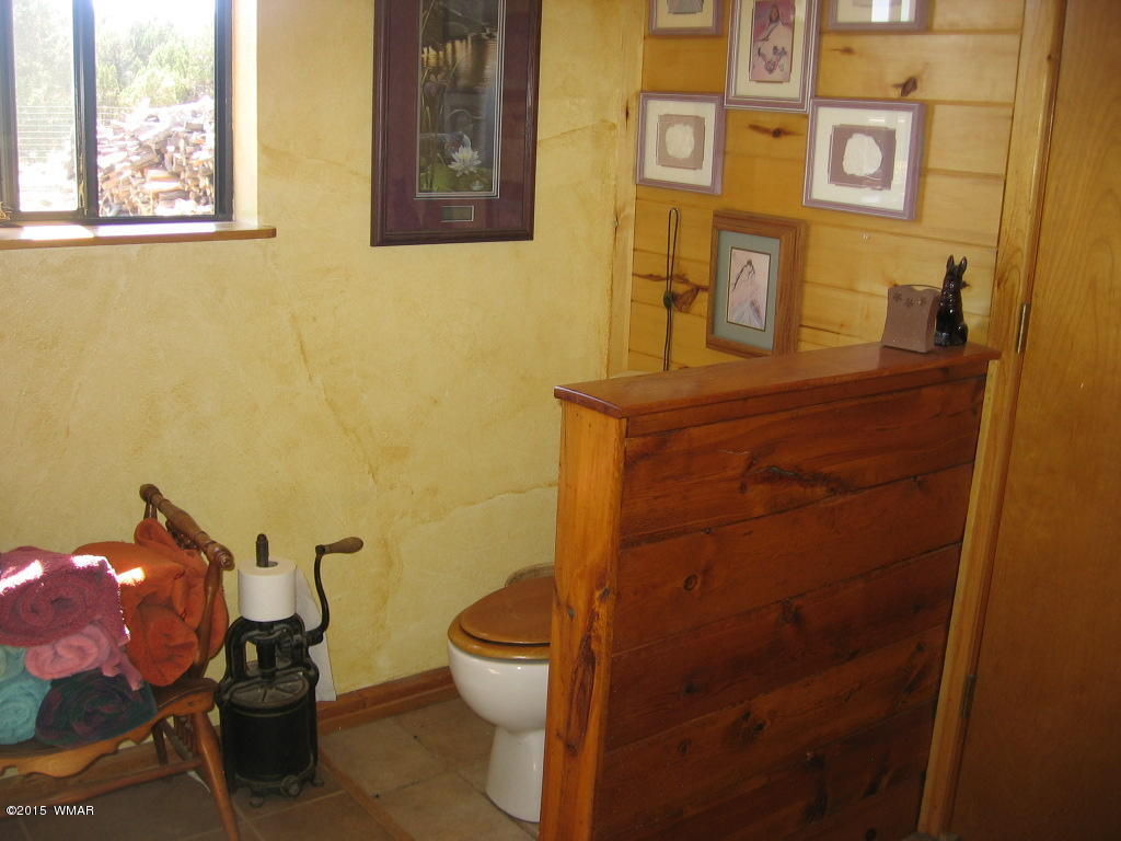 4047 Jasmine Lane Overgaard, AZ 85933 - Photo 29 of 42