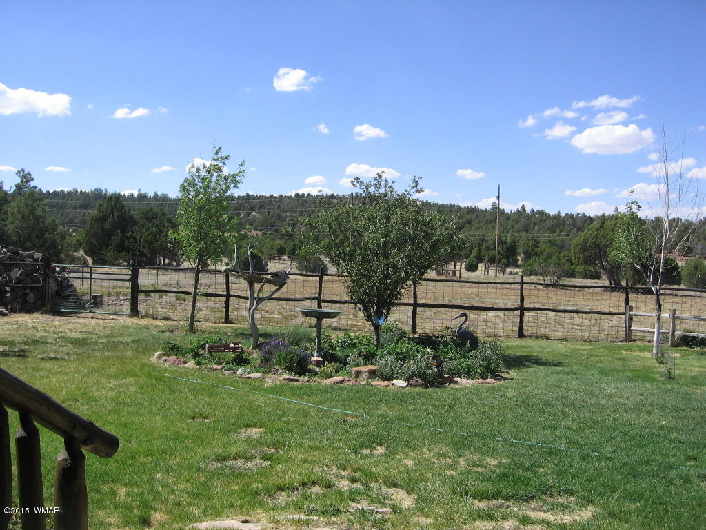 4047 Jasmine Lane Overgaard, AZ 85933 - Photo 36 of 42