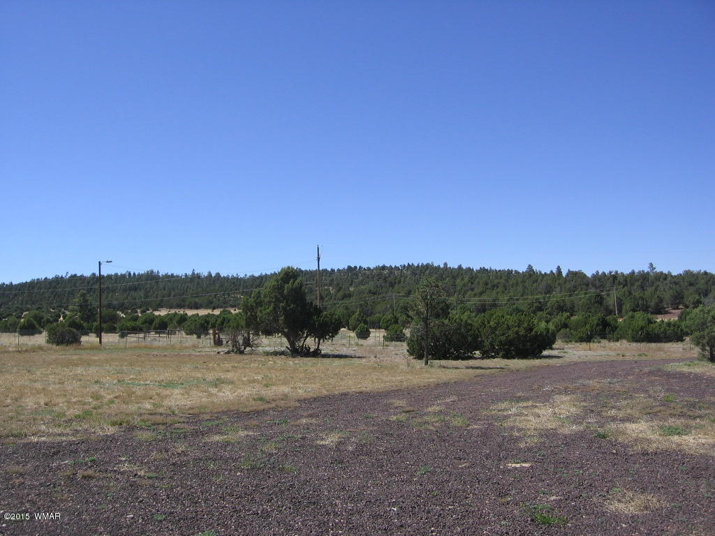 4047 Jasmine Lane Overgaard, AZ 85933 - Photo 37 of 42