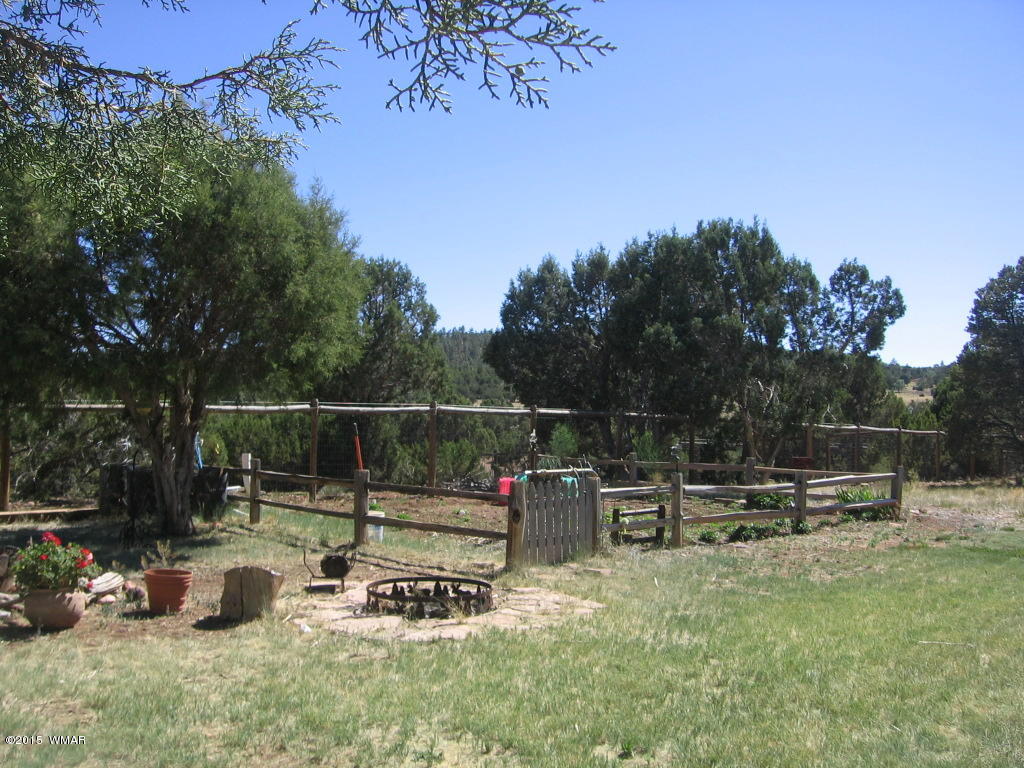 4047 Jasmine Lane Overgaard, AZ 85933 - Photo 39 of 42