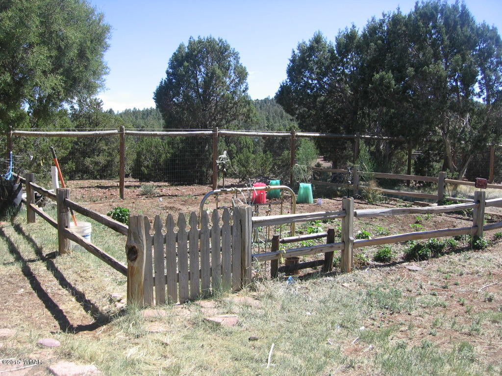 4047 Jasmine Lane Overgaard, AZ 85933 - Photo 40 of 42