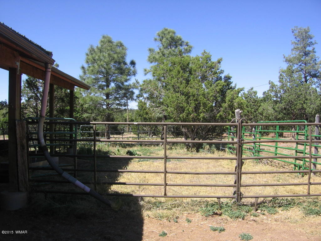 4047 Jasmine Lane Overgaard, AZ 85933 - Photo 41 of 42