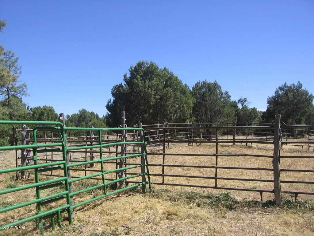 4047 Jasmine Lane Overgaard, AZ 85933 - Photo 42 of 42