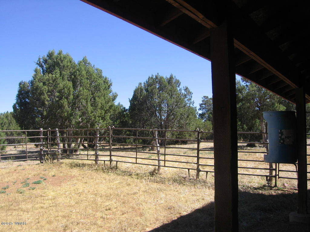 4047 Jasmine Lane Overgaard, AZ 85933 - Photo 10 of 42