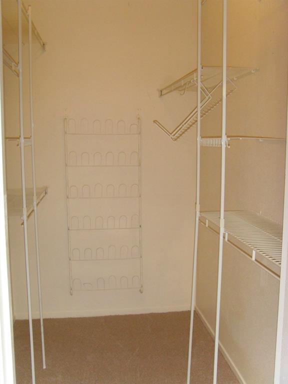 114 East 31st Street, Unit 206 Austin, TX 78705 - Photo 9 of 9 a bathroom with a shower