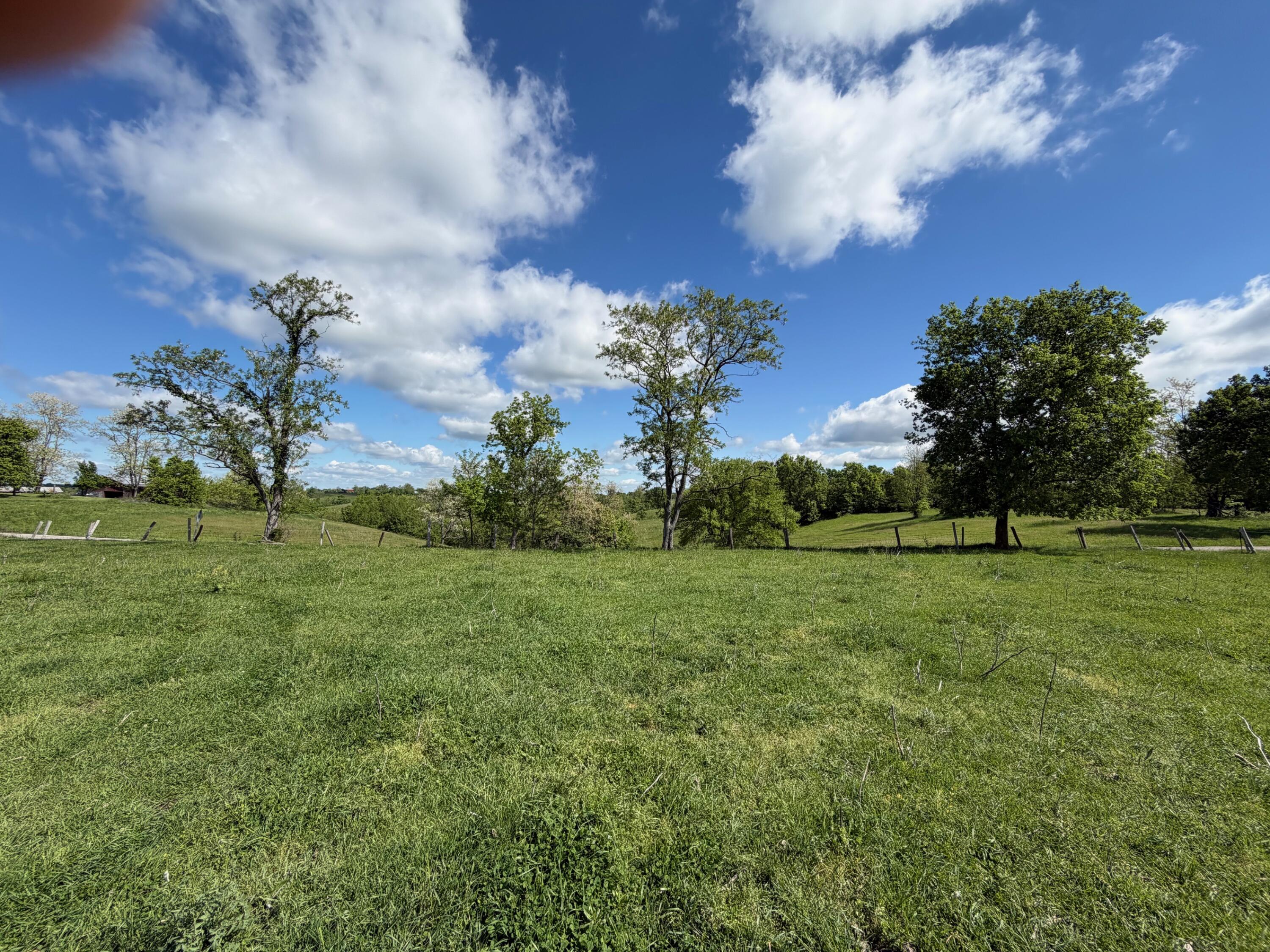 24.81-ac Chipman Ridge Road Williamstown, KY 41097 - Photo 7 of 17