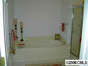 429 Cranborne Chase Fort Mill, SC 29708 - Photo 4 of 8 a bath tub sitting next to a white sink and vanity