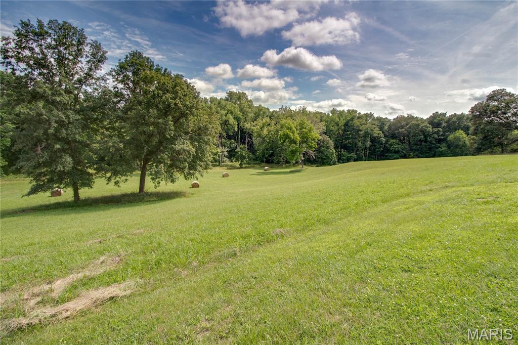 6155 Raymond Road Bunker Hill, IL 62014 - Photo 59 of 64