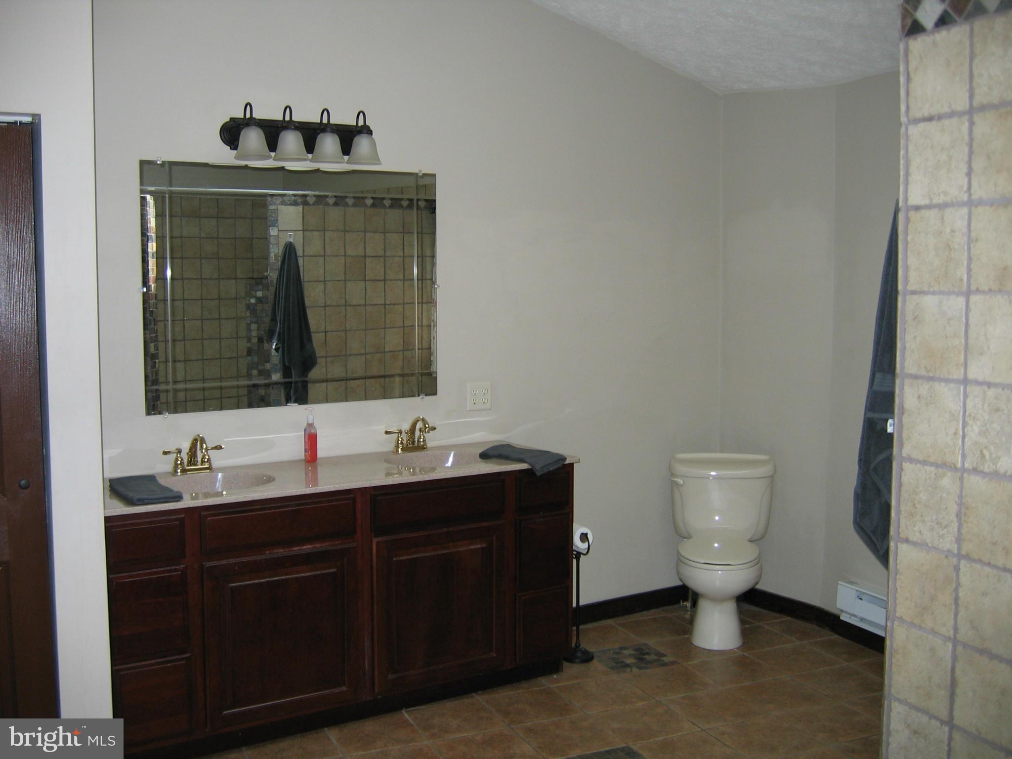 19010 Kerr Road Frostburg, MD 21532 - Photo 15 of 25 Bath